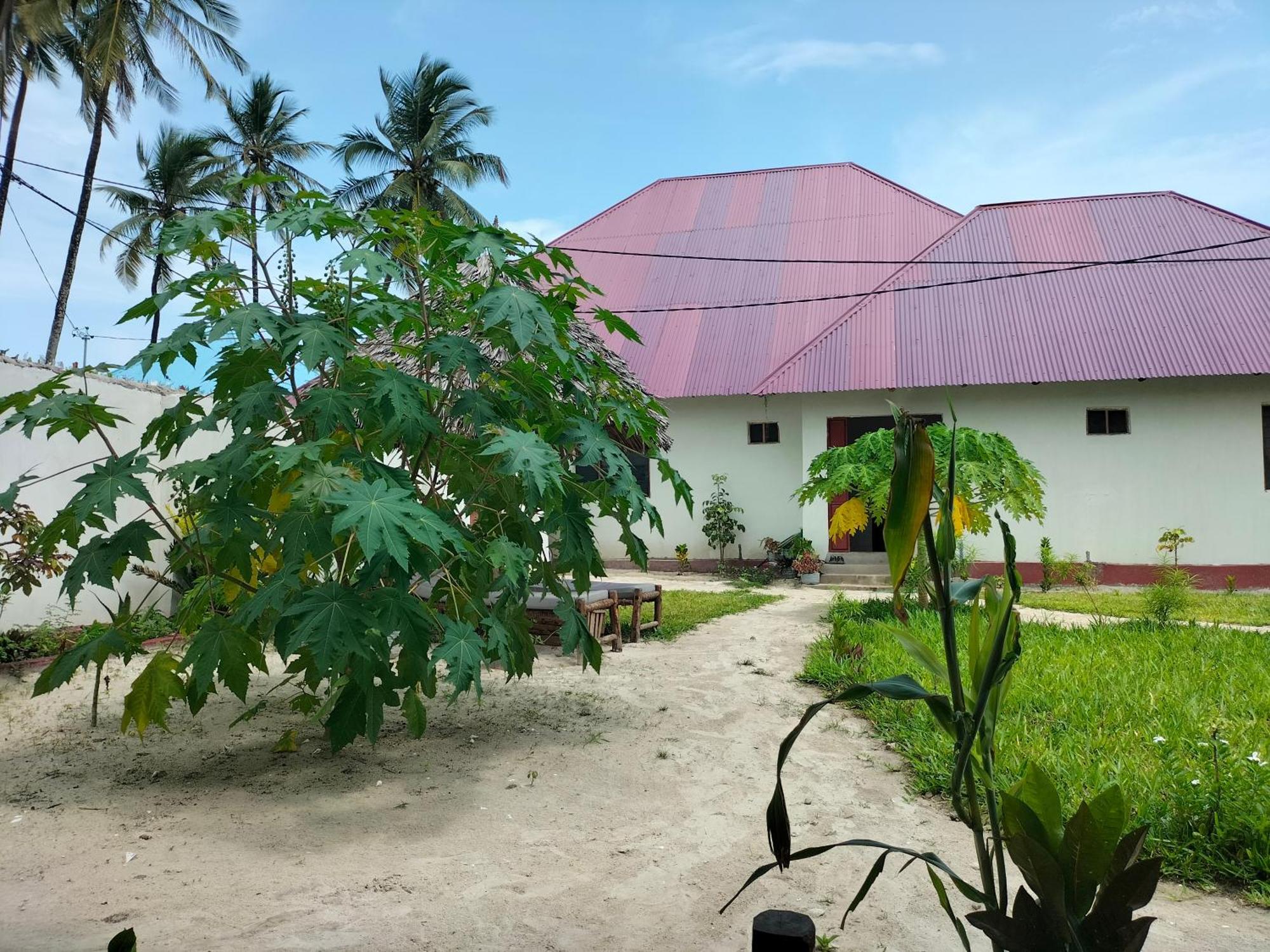 Mambo Leo Hostel Падже Экстерьер фото